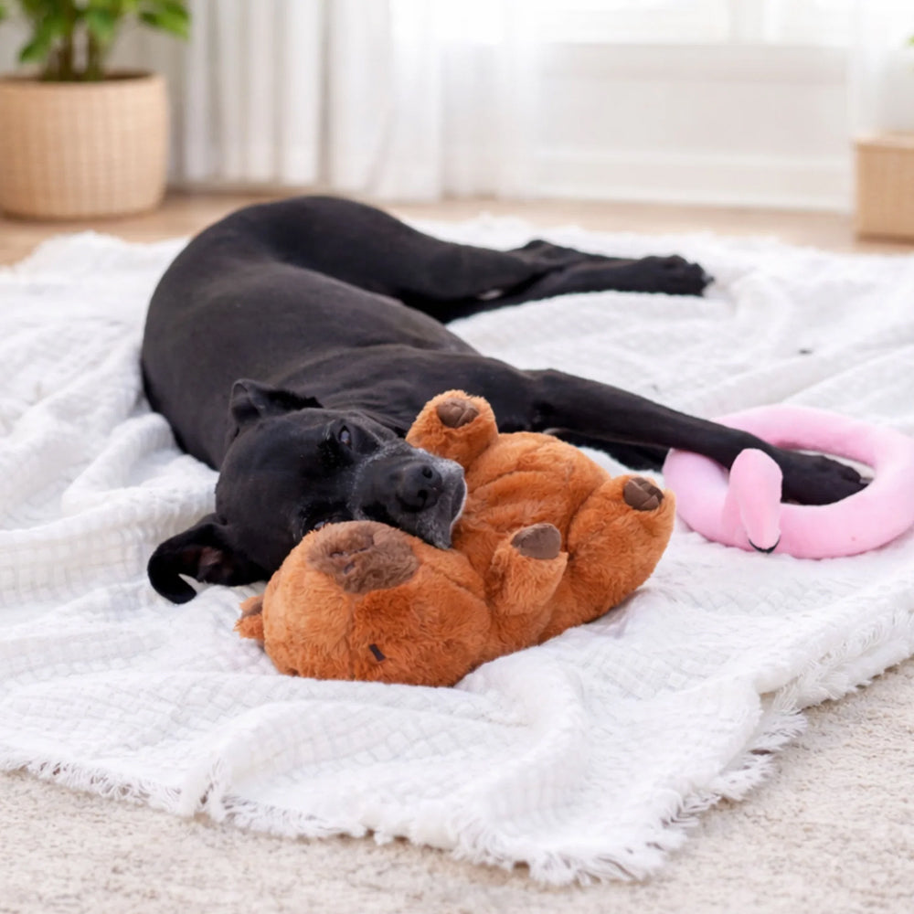 Capybara with Flamingo Floaty Dog Plush Toy