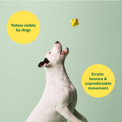 Natural Rubber Dog Fetch Toy