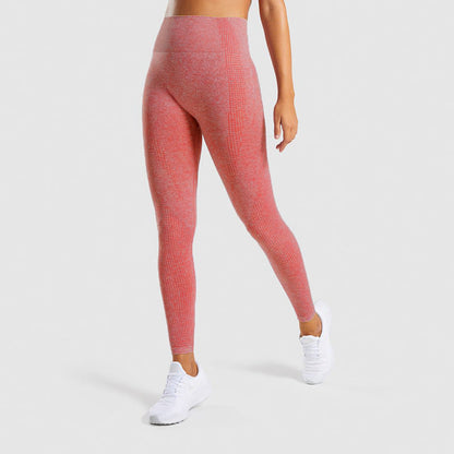 Seamless Jacquard Little Gym Pants Lady