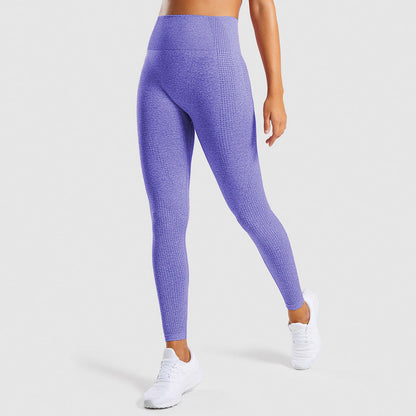 Seamless Jacquard Little Gym Pants Lady