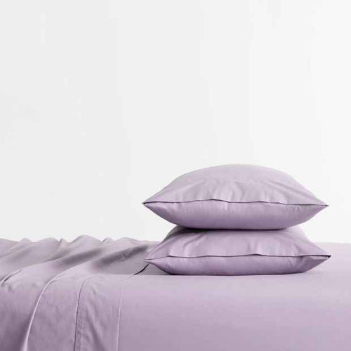 250 Thread Count Australian Cotton 2 Pack Standard Pillowcasses - Lavender