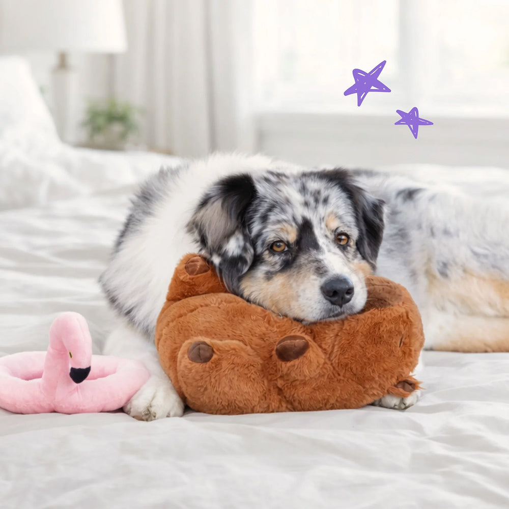Capybara with Flamingo Floaty Dog Plush Toy