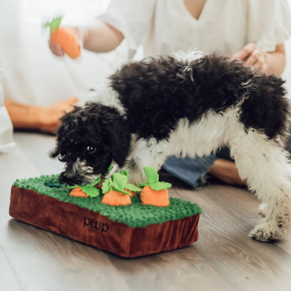 Carrots in the Garden Dog Plush Toy