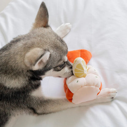 Grilled Lobster Nosework Dog Plush Toy