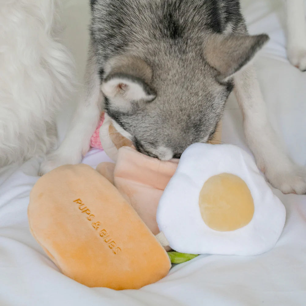 Pita Pocket Nosework Dog Plush Toy