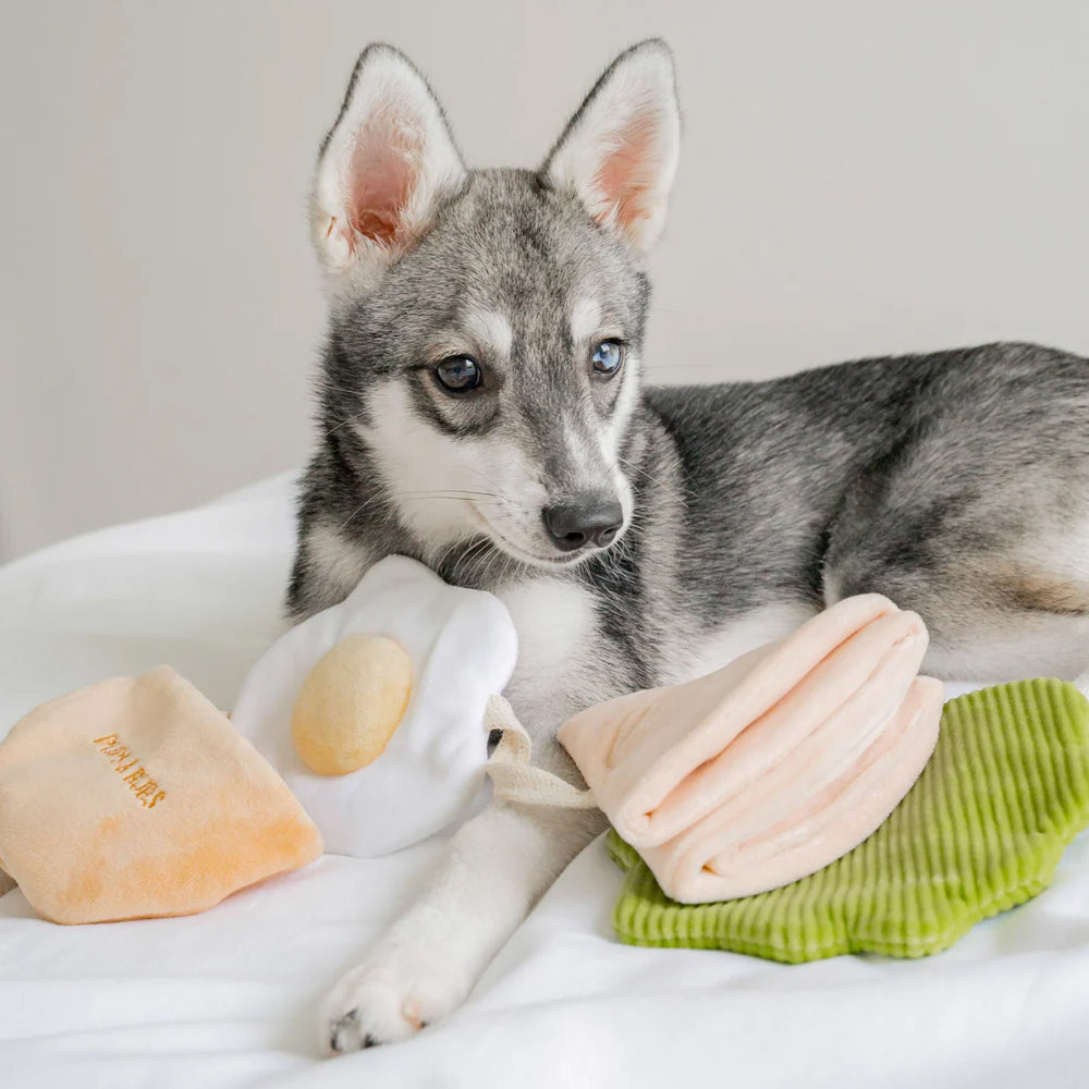 Pita Pocket Nosework Dog Plush Toy