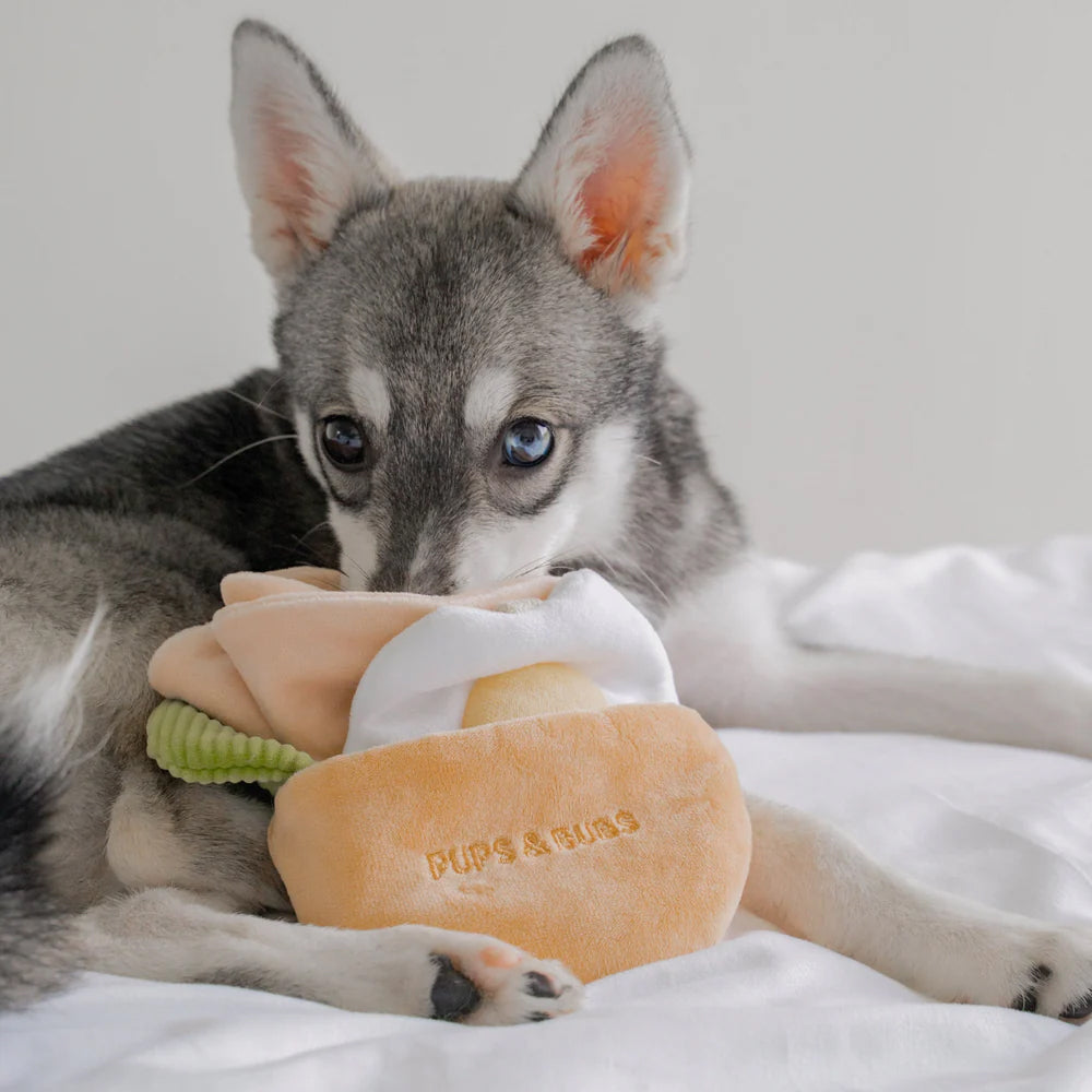 Pita Pocket Nosework Dog Plush Toy