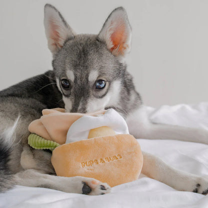 Pita Pocket Nosework Dog Plush Toy
