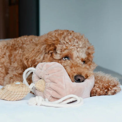 Popcorn Nosework Dog Plush Toy