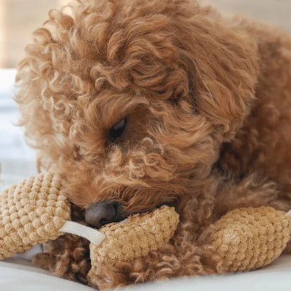 Popcorn Nosework Dog Plush Toy