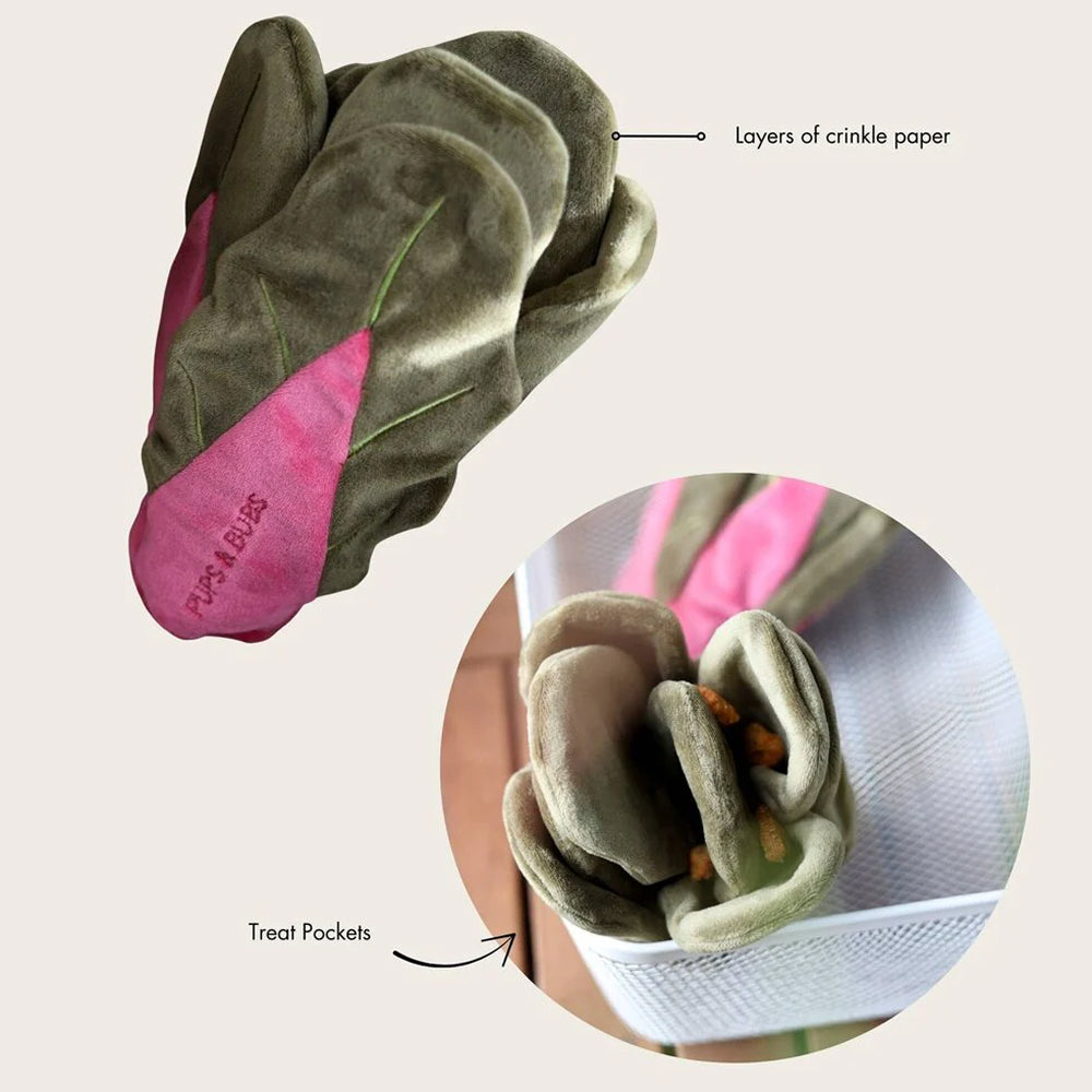 Snuffle Swiss Chard Plush Toy