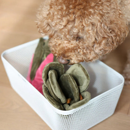 Snuffle Swiss Chard Plush Toy