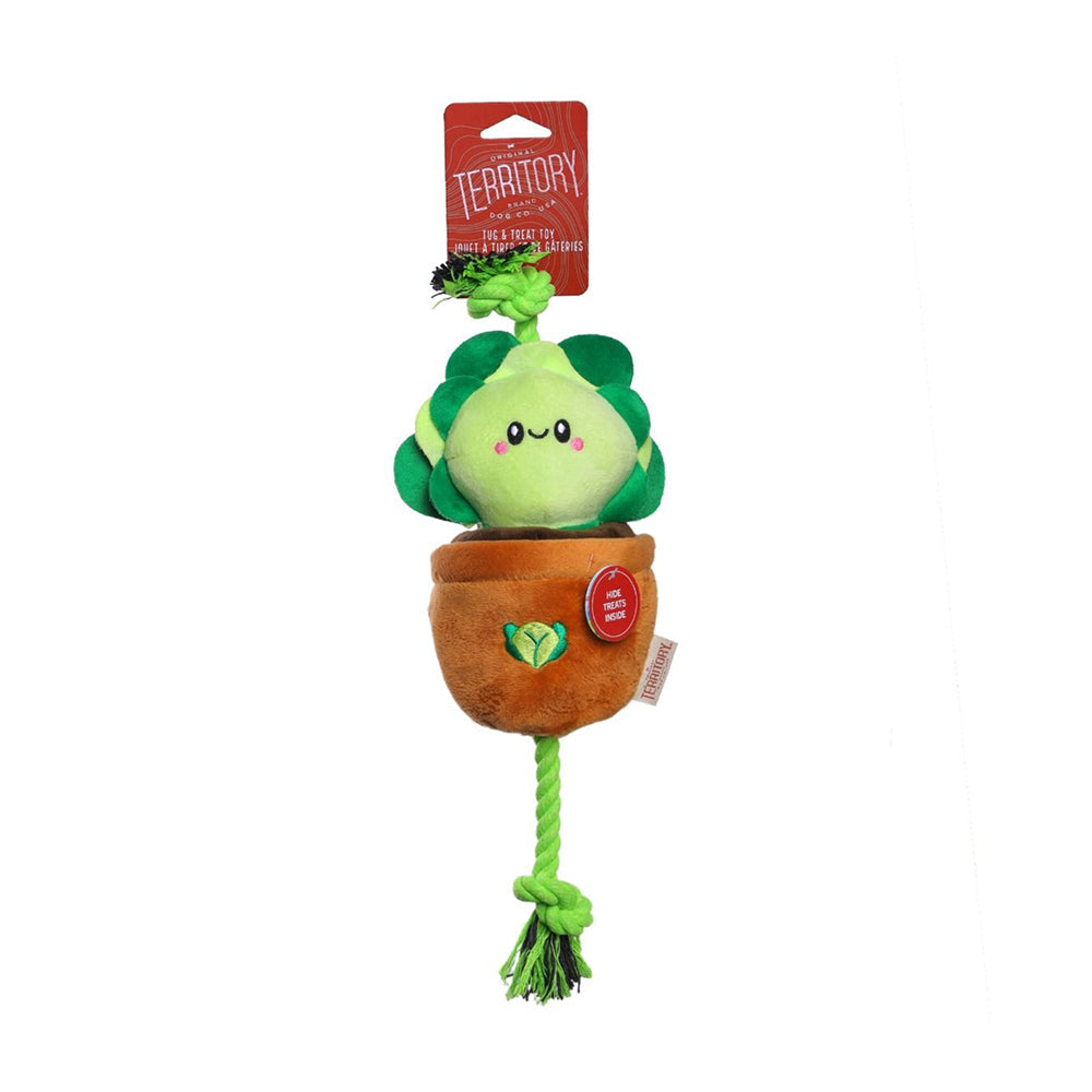Lettuce Dog Tug Toy