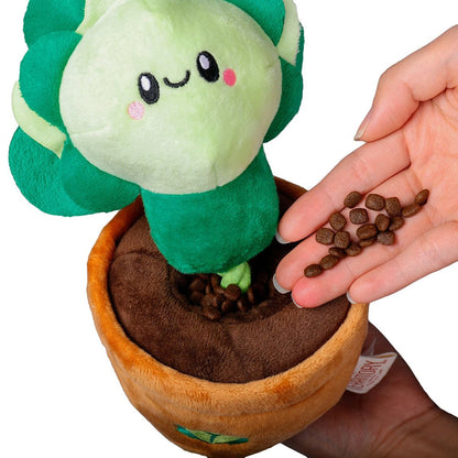 Lettuce Dog Tug Toy