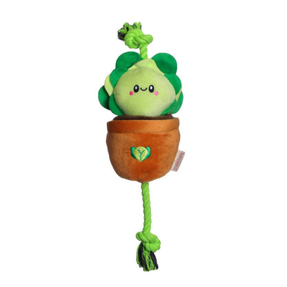 Lettuce Dog Tug Toy