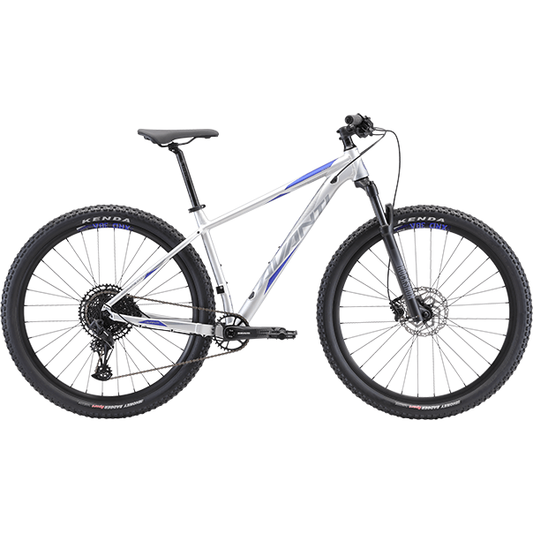 Avanti Competitor 2 Bike
