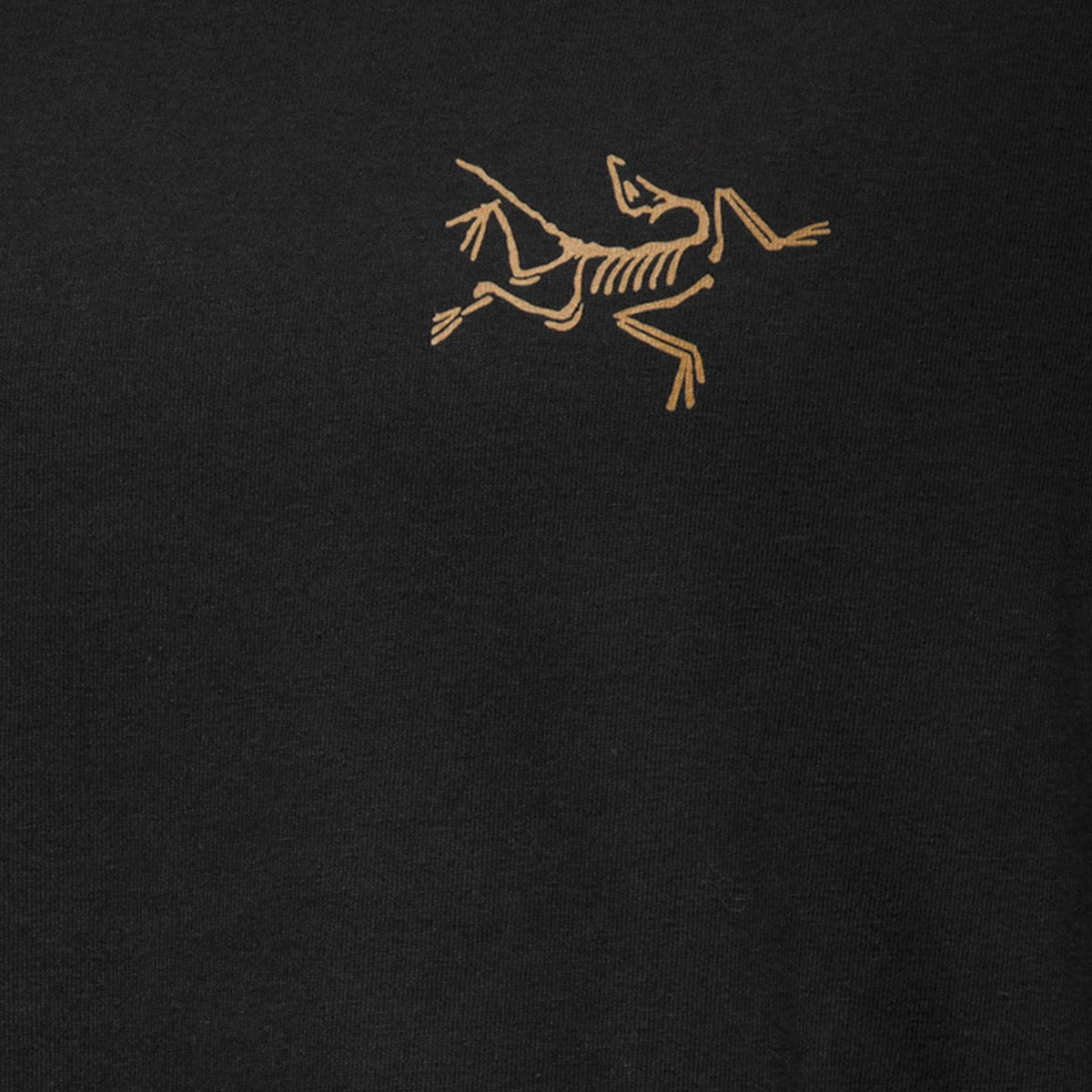 Arc'teryx Men's Kragg Cotton Long Sleeve T-Shirt