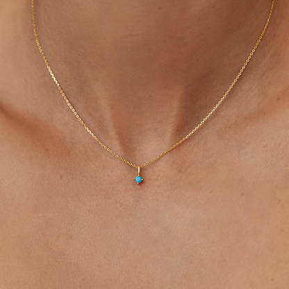 Silver Small Birthstone Pendant Necklace